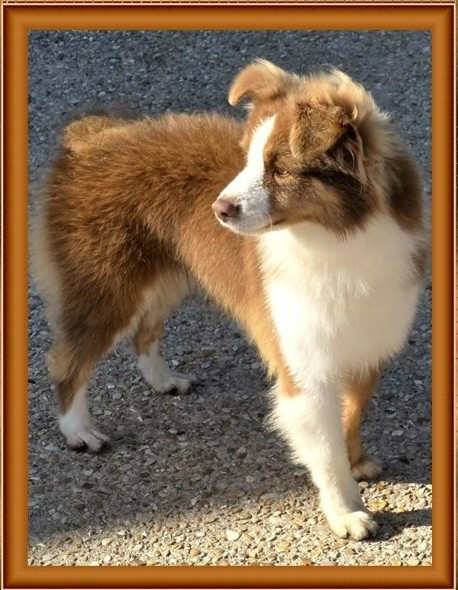 Voyage a waigeo du Pays de l'Auvézère